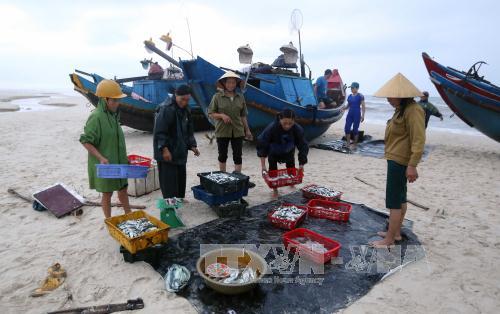 Khai thác tiềm năng biển đảo trong thời kỳ hội nhập - Bài cuối: Quản lý và phát triển nền 'kinh tế biển xanh' ảnh 1